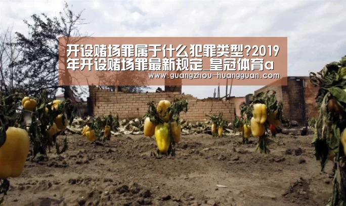 皇冠体育官网