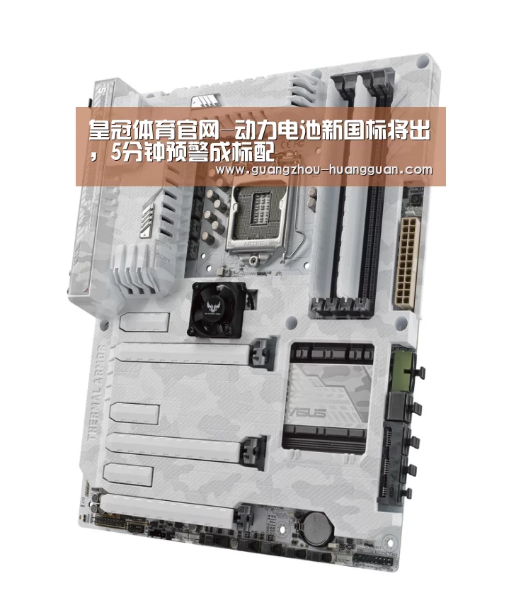 皇冠体育直播